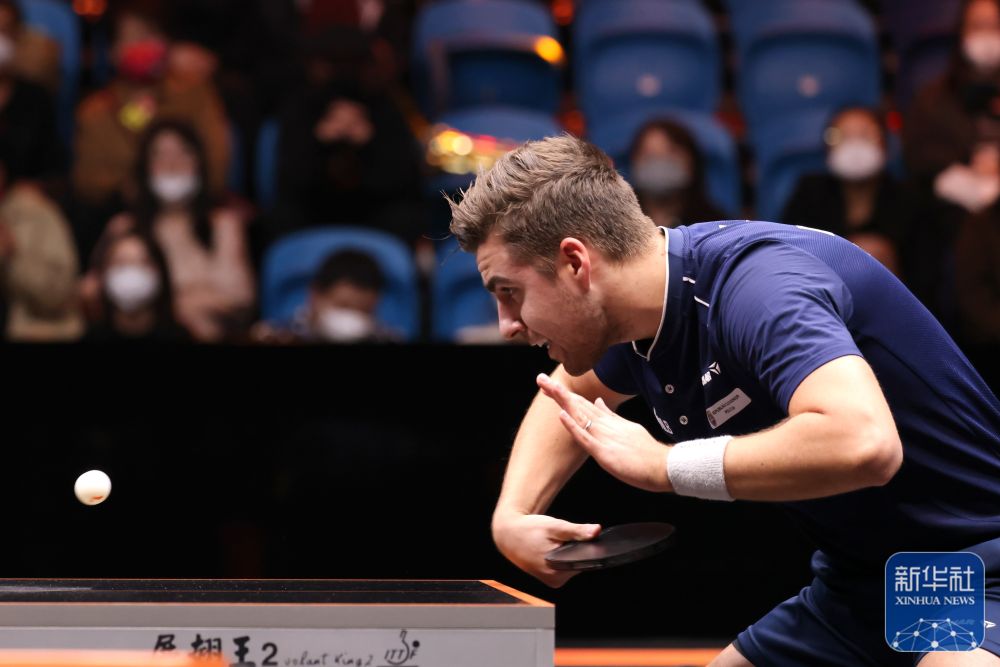 者齐聚申城 者齐聚申城